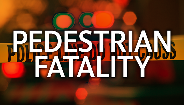 Pedestrian Killed in Traffic Crash