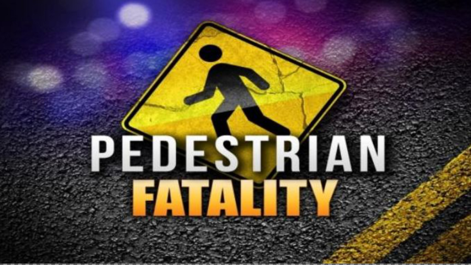 Pedestrian Killed on US1 near PMC early Sunday Morning