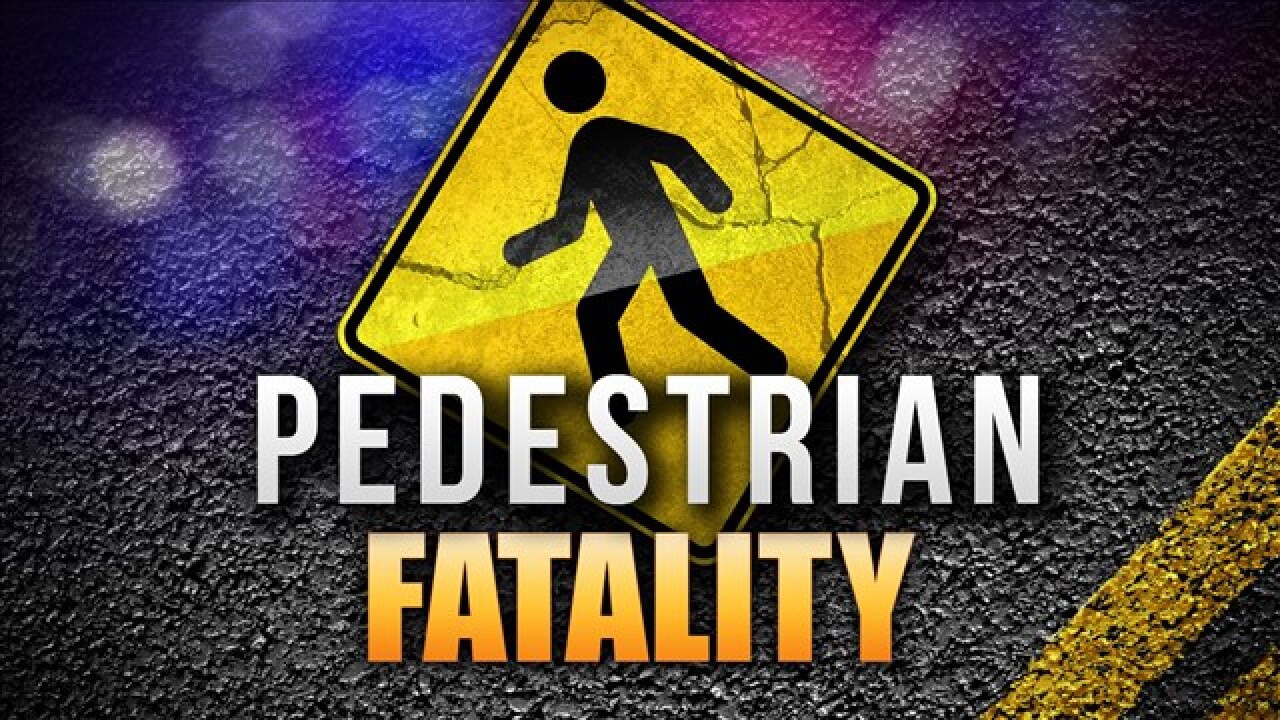 Female Pedestrian Killed Crossing US1