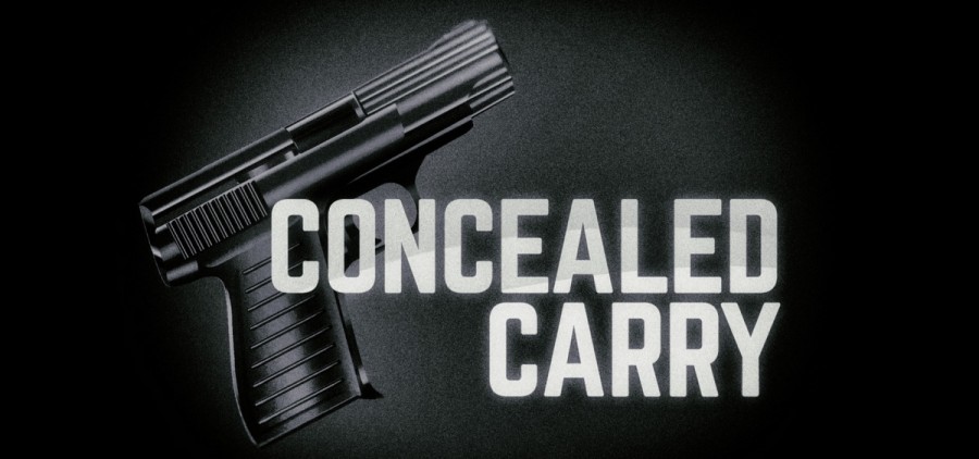 Lawmakers introduce permitless concealed carry gun law