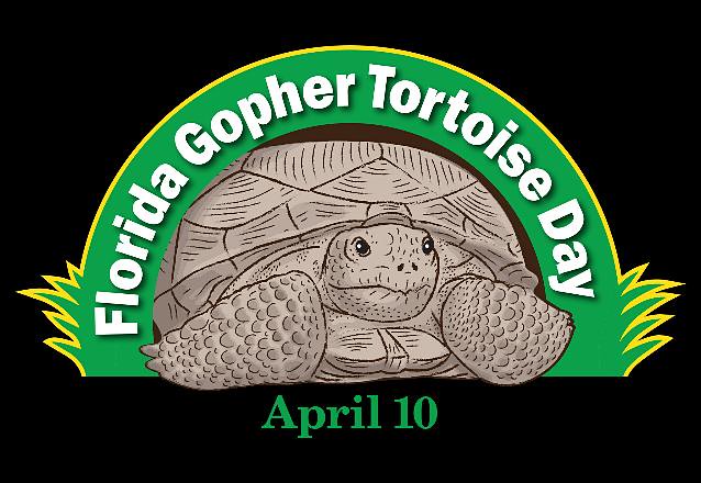 Happy Gopher Tortoise Day