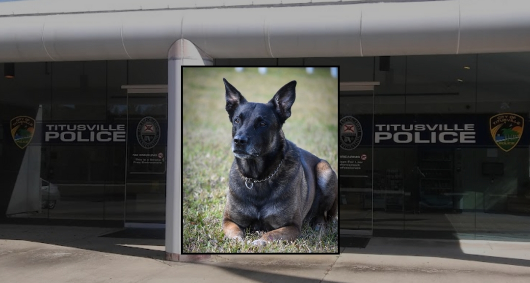 Titusville Police K9 Scooby Retires After Nearly 8 Years of Service