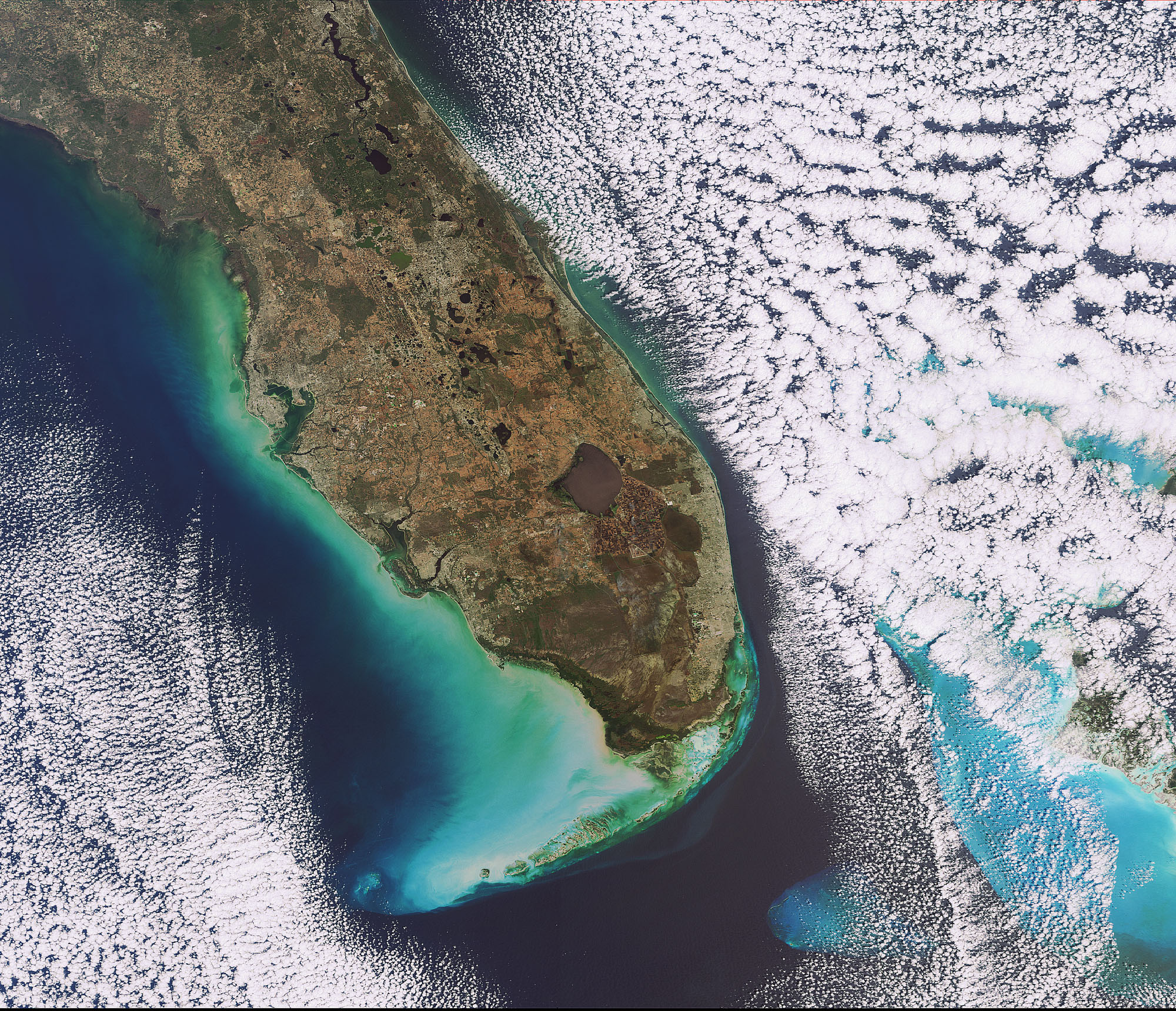 Space Florida Adopts Project Hinton