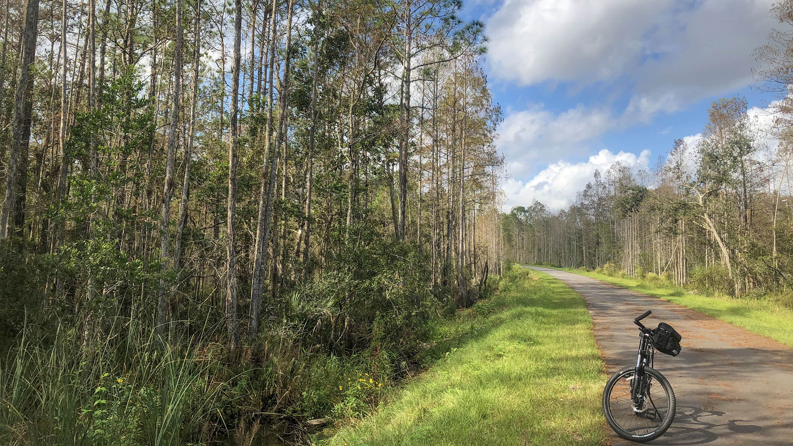 Portions of Florida East Central Regional Rail Trail to Close for Maintenance