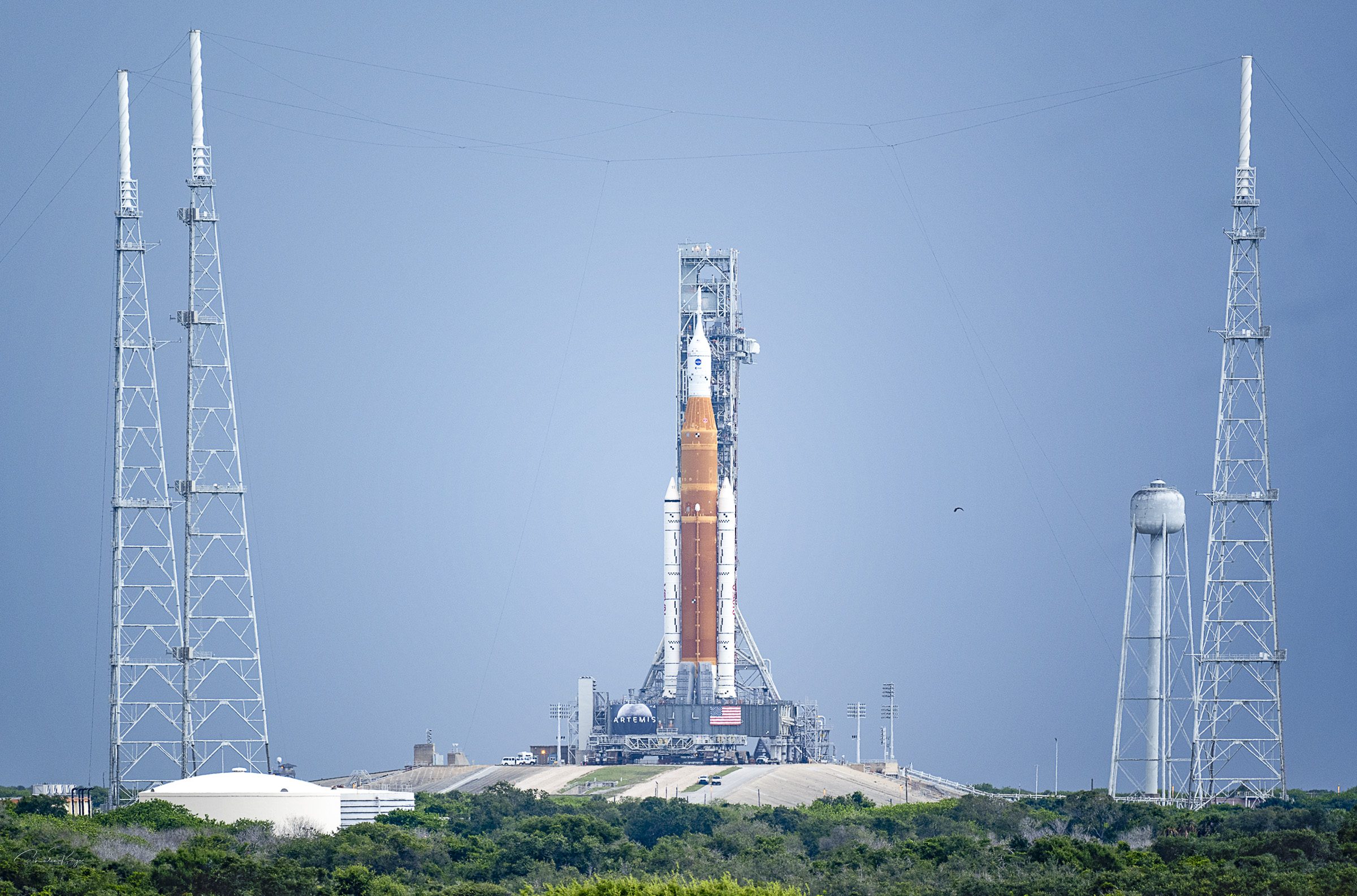 Big Birds Are About To Fly From The Cape