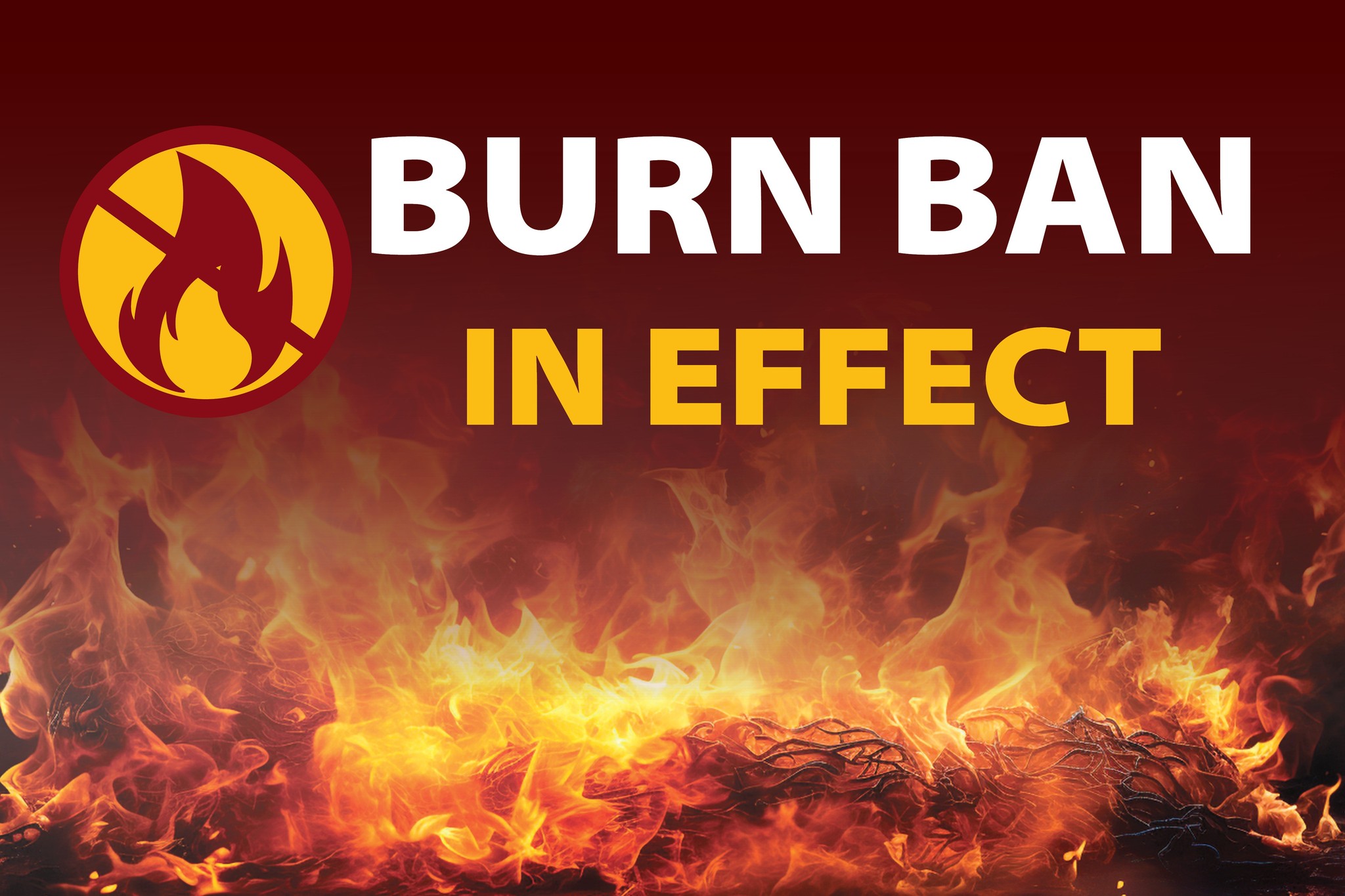 Brevard County Issues Immediate Burn Ban Amid Rising Wildfire Risk